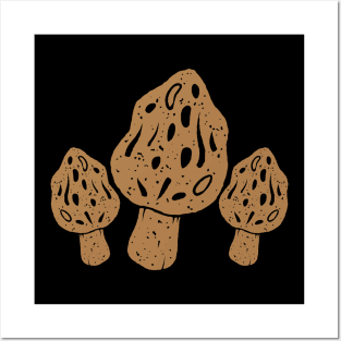 Morel Mushrooms Posters and Art